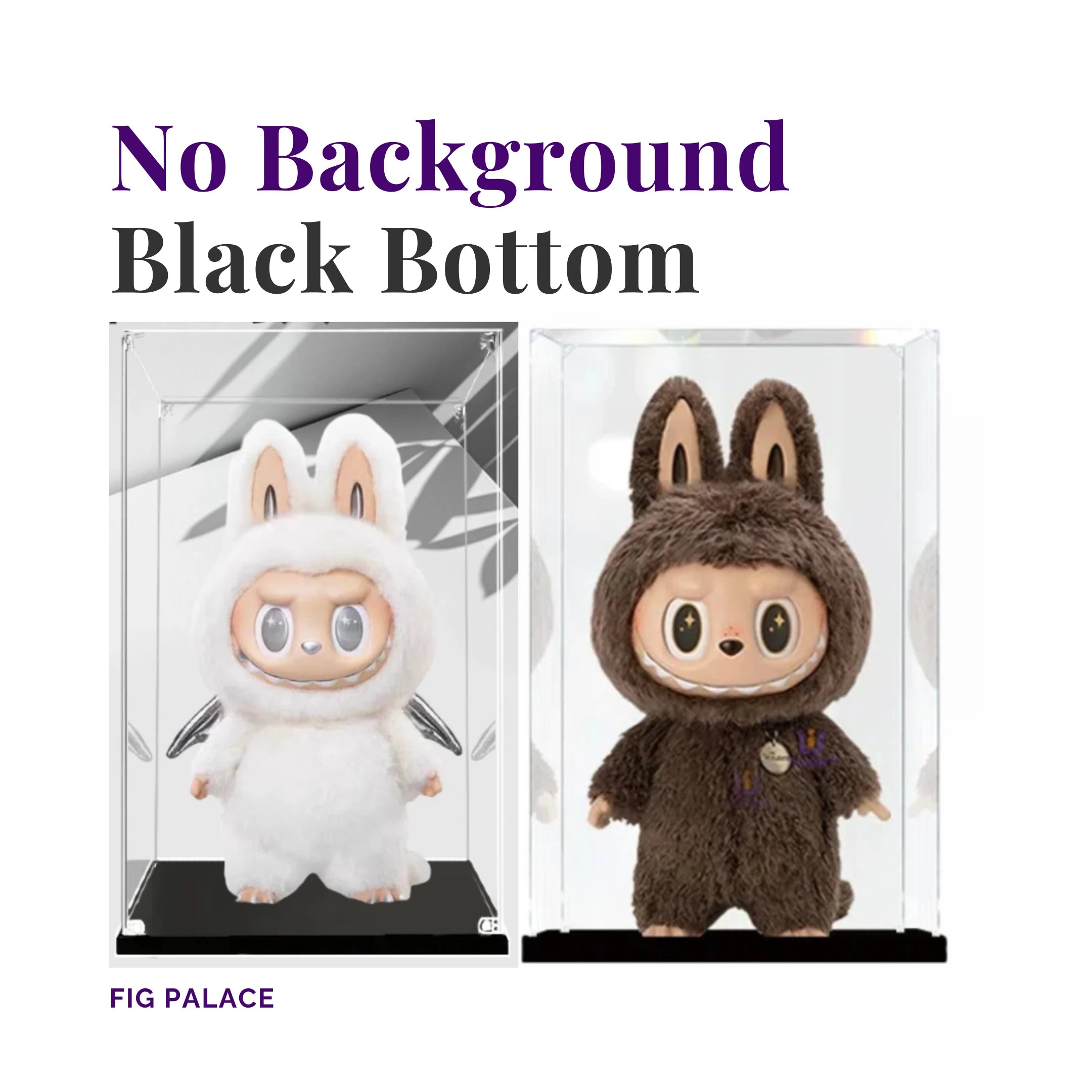 Zimomo display case with black bottom and no background panel.