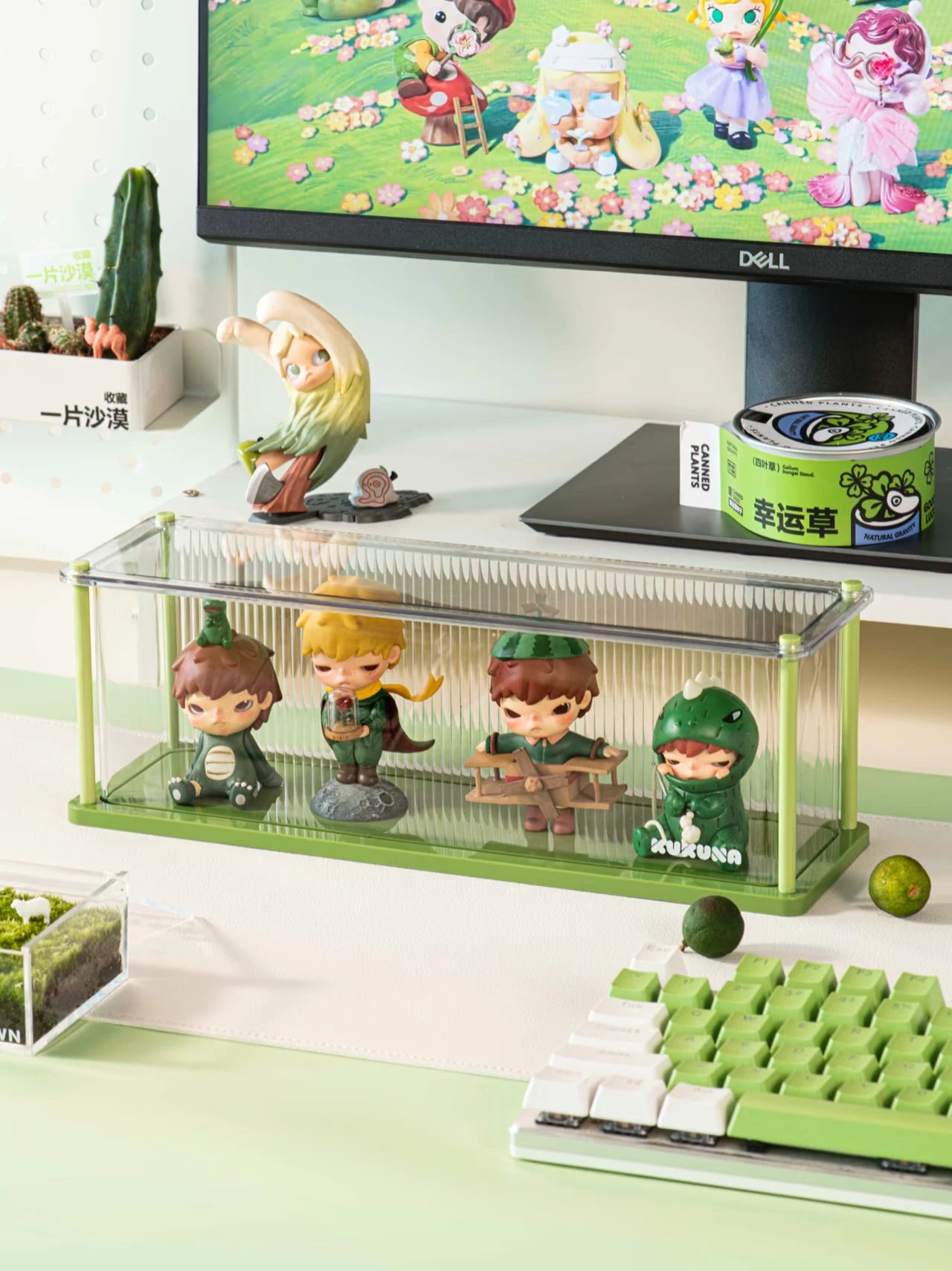 Display Case for POP MART Figures