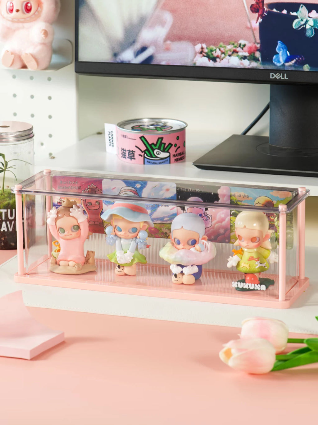 Display Case for POP MART Figures