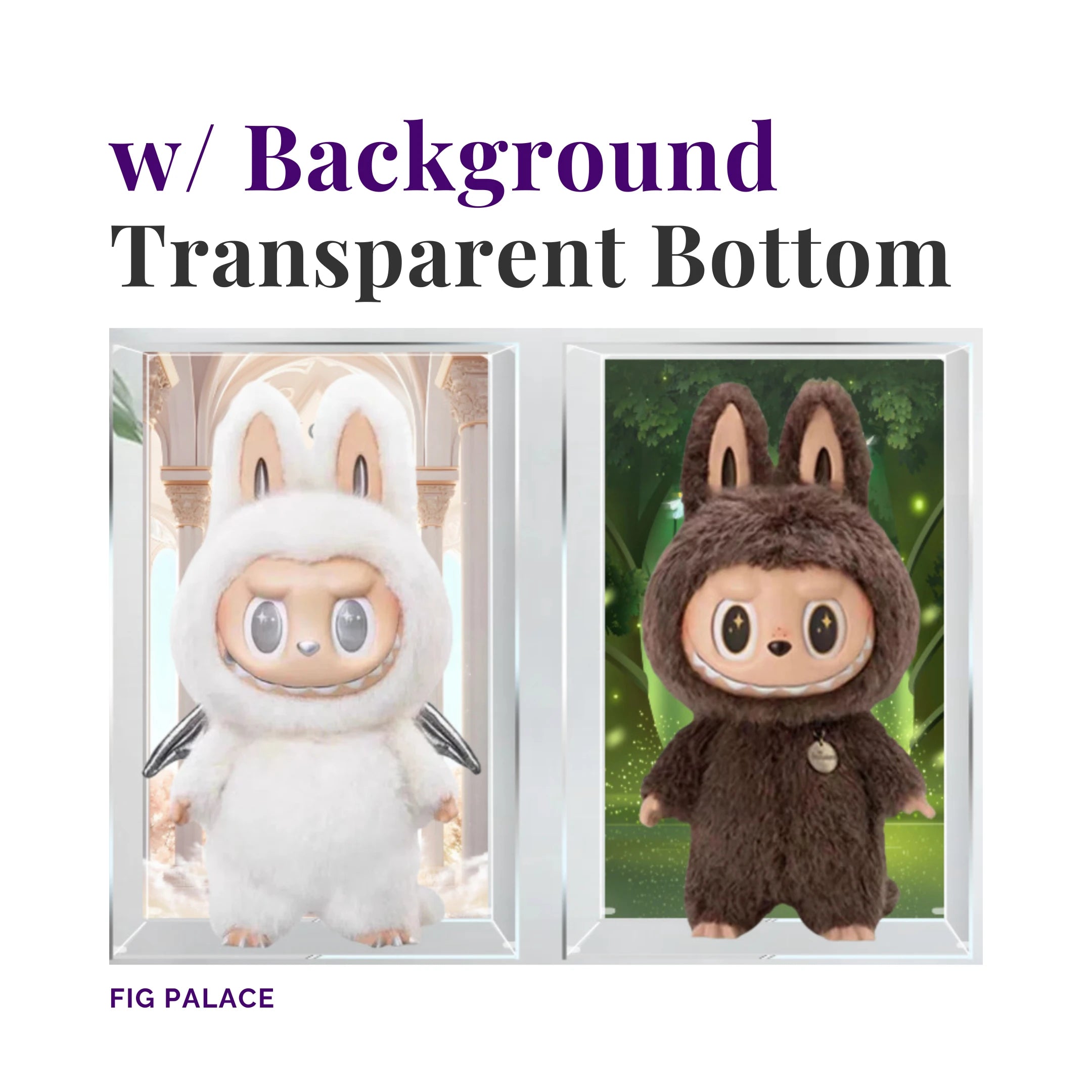 Zimomo display case with included background and transparent base.